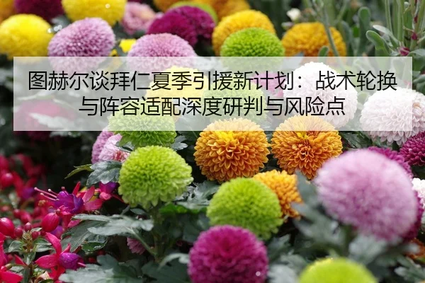 tu-he-er-tan-bai-ren-xia-ji-yin-yuan-xin-ji-hua-zhan-shu-lun-huan-yu-zhen-rong-shi-pei-shen-du-yan-pan-yu-feng-xian-dian-2-821.jpg