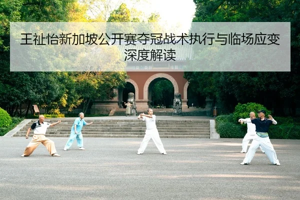 wang-zhi-yi-xin-jia-po-gong-kai-sai-duo-guan-zhan-shu-zhi-xing-yu-lin-chang-ying-bian-shen-du-jie-du-2-597.jpg